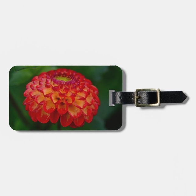 Etiqueta De Bagagem Dahlia Laranja e Amarela (Frente Horizontal)