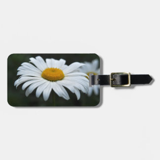 Etiqueta De Bagagem Daisy - Enfrentar