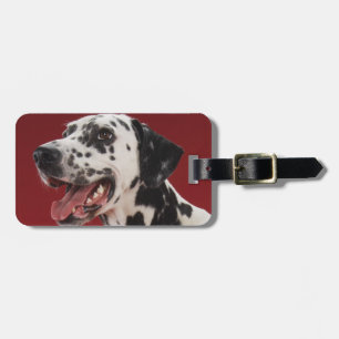 Etiqueta De Bagagem Dalmatian