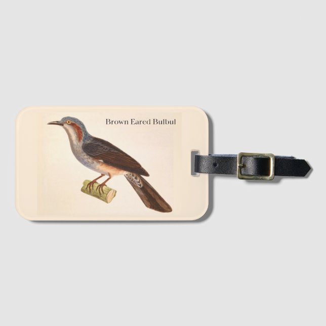 Etiqueta de Bagagem de Bulbul de Orelha Marrom (Frente Horizontal)
