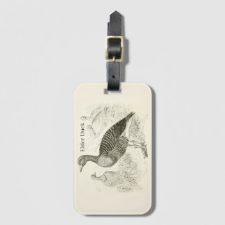 Etiqueta de Bagagem de Pato Eider