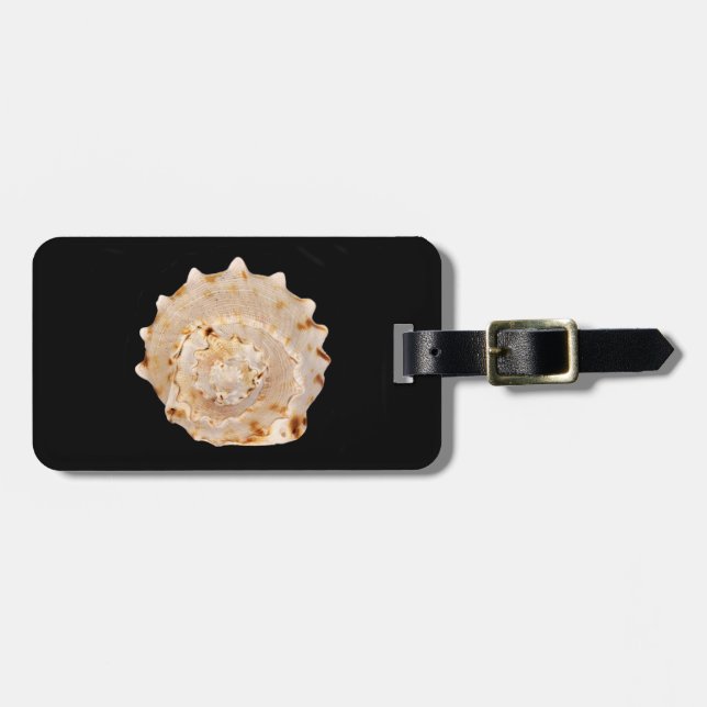 Etiqueta de Bagagem de Shell Conch (Frente Horizontal)