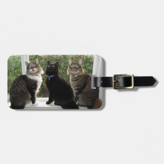 Etiqueta de bagagem de três amigos de gato