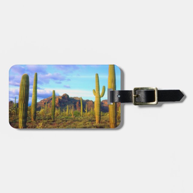 Etiqueta De Bagagem Deserto na primavera (Frente Horizontal)