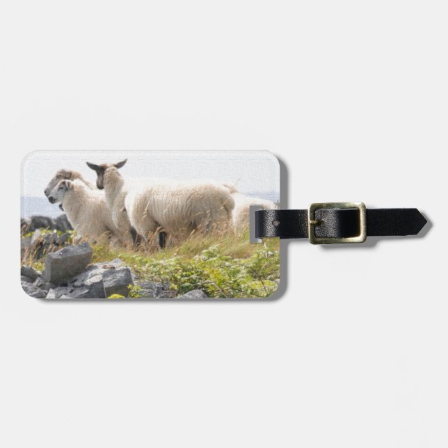 Etiqueta De Bagagem Designs Excêntricos - Ovelhas em um campo (Frente Horizontal)