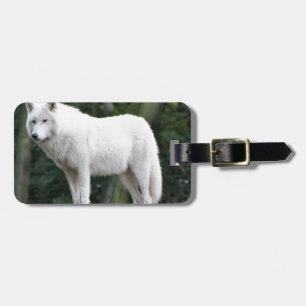 Etiqueta De Bagagem Destino animal do amor da paz da natureza do lobo