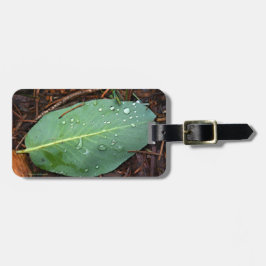 Etiqueta De Bagagem Dew Dappled Leaf