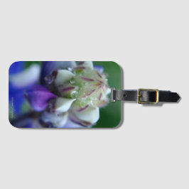 Etiqueta De Bagagem Dew Dappled Lupine