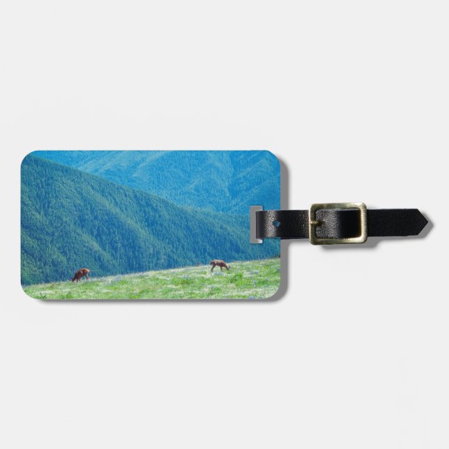Etiqueta De Bagagem Dinheiro das montanhas (Frente Horizontal)