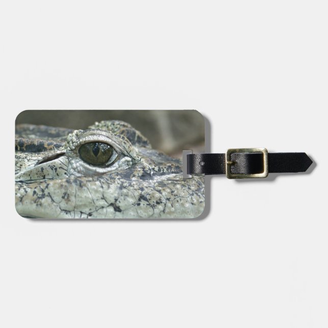 Etiqueta de Bagagem do Crocodilo (Frente Horizontal)