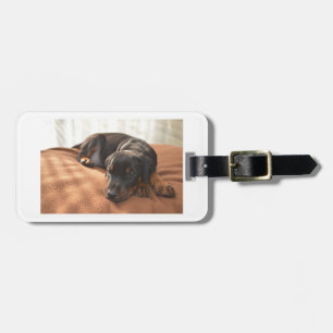 Etiqueta De Bagagem doberman-pinscher-filhote