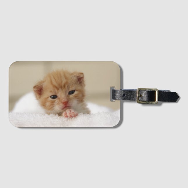 Etiqueta De Bagagem Doce gatinho (Frente Horizontal)
