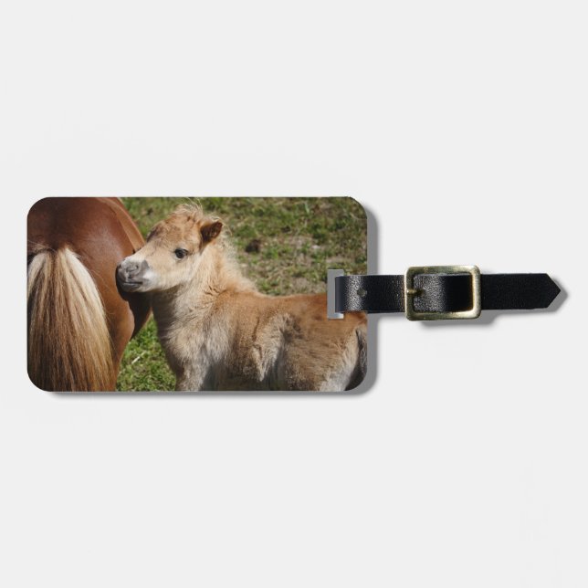 Etiqueta De Bagagem Doce Haflinger Foal (Frente Horizontal)