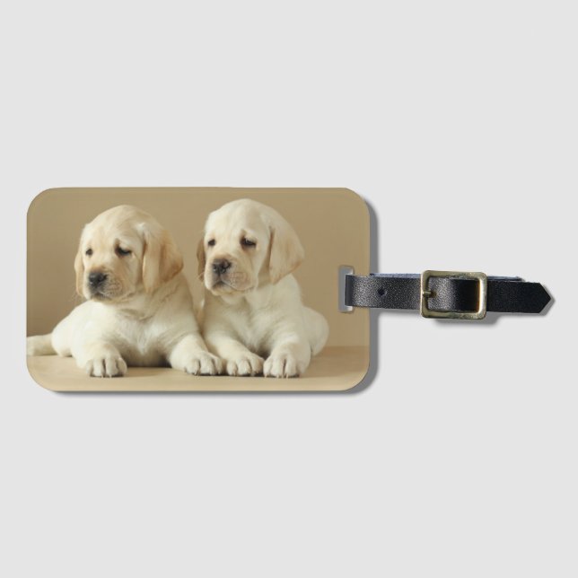 Etiqueta De Bagagem Dois Ouros De Labrador (Frente Horizontal)