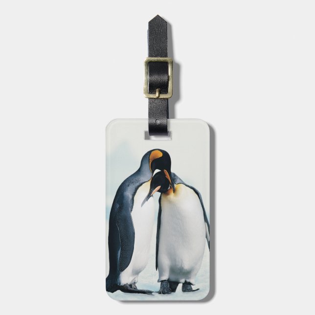 Etiqueta De Bagagem Dois pinguins afectuosos (Frente Vertical)