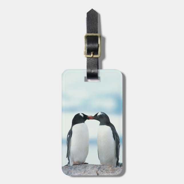 Etiqueta De Bagagem Dois pinguins que tocam nos bicos (Frente Vertical)