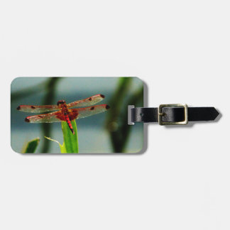 Etiqueta De Bagagem Dragonfly Vermelha e Negra