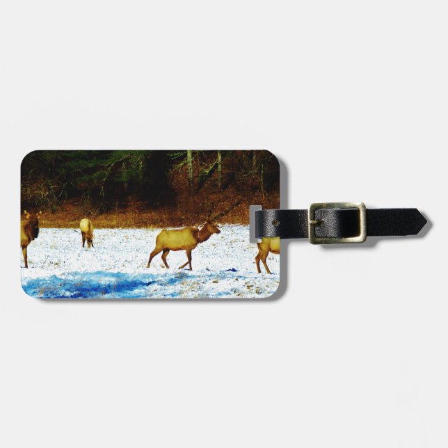 ETIQUETA DE BAGAGEM DSC00131.JPG (Frente Horizontal)