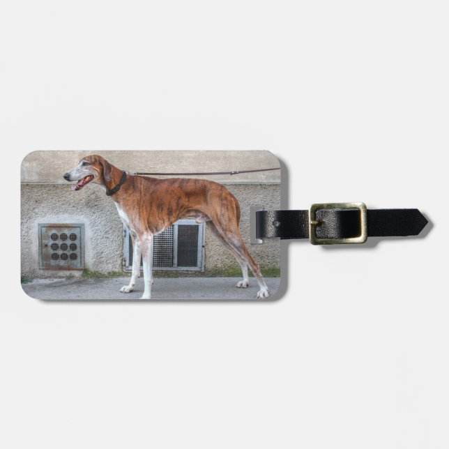 Etiqueta De Bagagem Elder Brindle Greyhound (Frente Horizontal)