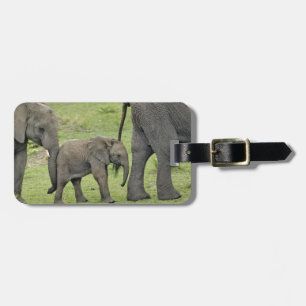 Etiqueta De Bagagem Elefante africano fêmea com bebê