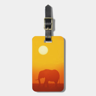 Etiqueta De Bagagem Elefante africano que anda no por do sol, Kenya