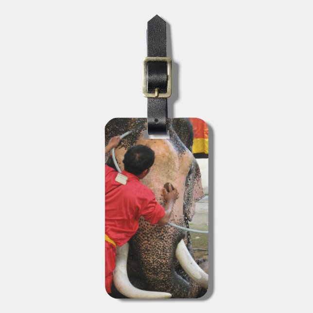 Etiqueta De Bagagem Elefante Bathtime... Ayutthaya, Tailândia (Frente Vertical)