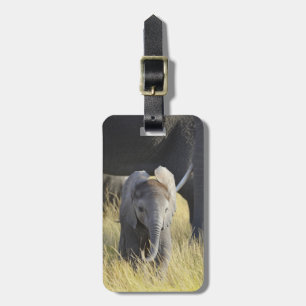 Etiqueta De Bagagem Elefante bebê