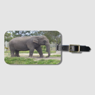 Etiqueta De Bagagem Elefante no Prado Tranquilo