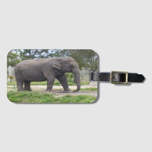Etiqueta De Bagagem Elefante no Prado Tranquilo (Frente Horizontal)