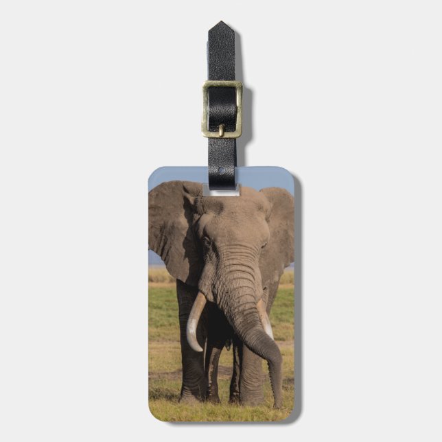 Etiqueta De Bagagem Elefante Procurando (Frente Vertical)