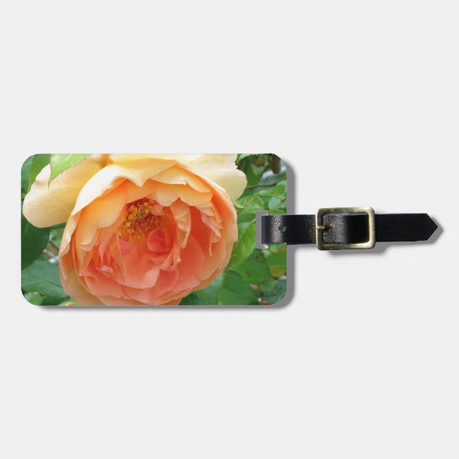 Etiqueta De Bagagem Elegante Laranja Blush Rosa (Frente Horizontal)