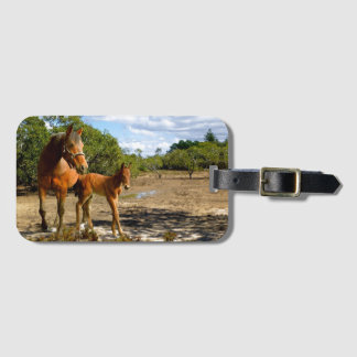 Etiqueta De Bagagem Equilibrio