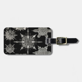 Etiqueta De Bagagem Ernst Haeckel | Acanthophracta