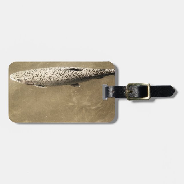 Etiqueta De Bagagem Espectro (Frente Horizontal)