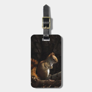 Etiqueta De Bagagem Esquilo em um Patch de Luz do Sol