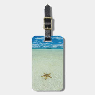 Etiqueta De Bagagem Estrela do mar em águas rasas, Palau