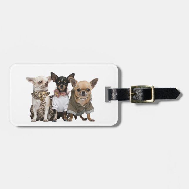 Etiqueta De Bagagem Eu amo chihuahuas (Frente Horizontal)