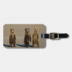 Etiqueta De Bagagem EUA. Alasca. Filhotes de urso marrom costeiro