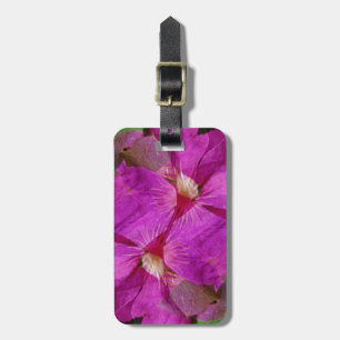 Etiqueta De Bagagem EUA, Colorado, Boulder. Montagem da flor Clematis