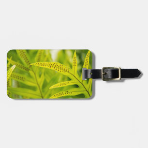 Etiqueta De Bagagem EUA, Havaí, Ilha Grande. Samambaia Verde Tropical