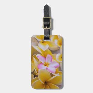 Etiqueta De Bagagem EUA, Havaí, Oahu, Flores de Plumeria em flor 1