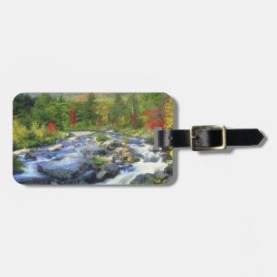 Etiqueta De Bagagem EUA, Nova York. Uma cachoeira no Adirondack