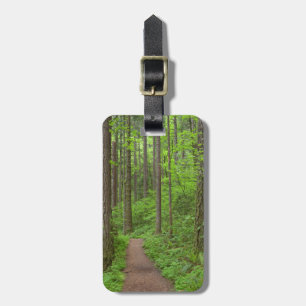 Etiqueta De Bagagem EUA, Oregon, Rio Columbia Gorge. Elowah Falls