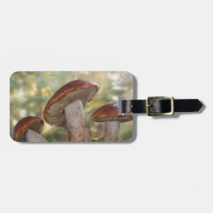 Etiqueta De Bagagem EUA, Washington, Seabeck. Leccinum Insigne