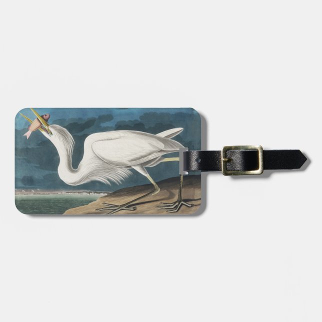 Etiqueta De Bagagem Excelente White Heron Audubon Bird Willife Paintin (Frente Horizontal)
