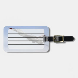 Etiqueta De Bagagem F-16 Thunderbird A Voo