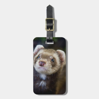 Etiqueta De Bagagem Ferret
