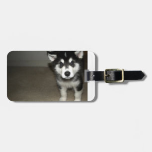 Etiqueta De Bagagem filhote de cachorro 3.png do malamute do Alasca