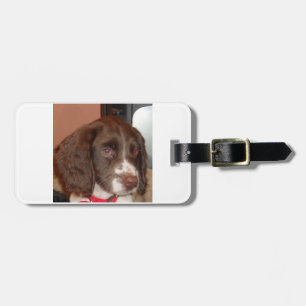 Etiqueta De Bagagem Filhote de cachorro do lw de
