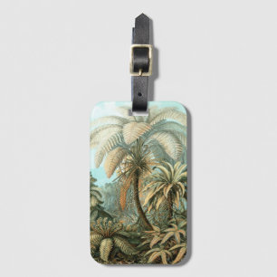 Etiqueta De Bagagem Filicinae por Ernst Haeckel, Plantas de samambaia 